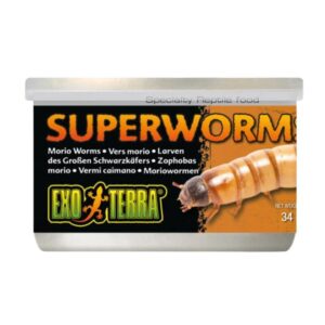 Exo Terra Canned Superworms Specialty Reptile Food