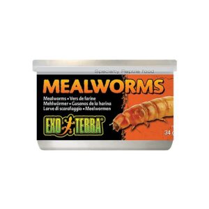 Exo Terra Mealworms