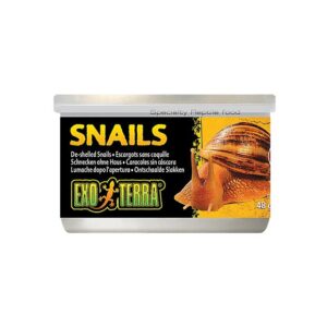 Exo Terra Snails Unshelled