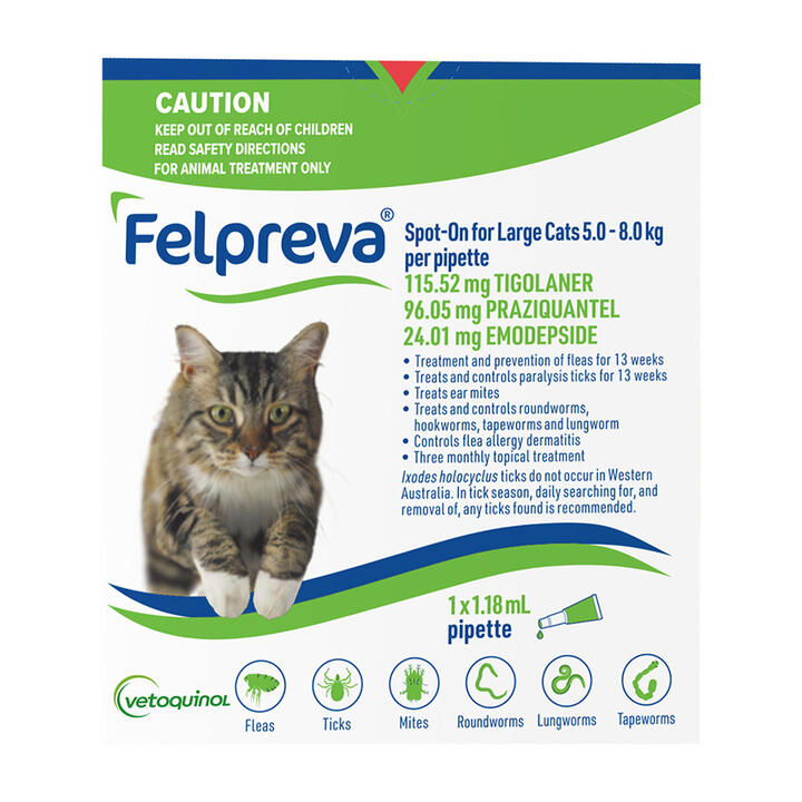 Felpreva Spot On For Large Cats 5 To 8kg 1 Pipette Sniff Out felpreva-spot-on-for-large-cats-5-to-8kg-1-pipette-sniff-out
