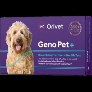 Genopet Breed Identification Dna Test Plus Health