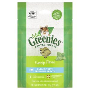 Greenies Cat Treat Catnip