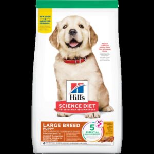 Hills Large Breed Puppy Dry