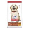 Hills Science Diet Puppy Large Breed Dry Dog Food 12kg