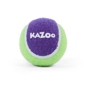 Kazoo Sponge Tennis Ball