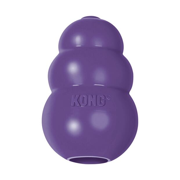 Kong Toy Senior