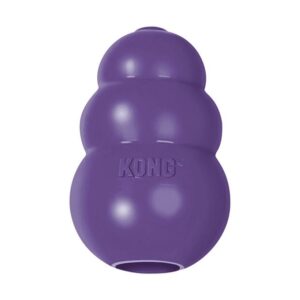 Kong Toy Senior