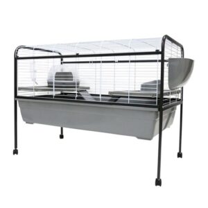 Little Ones Rabbit Run