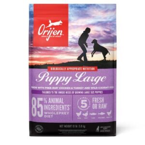 Orijen Puppy Large Breed Dry Food 10.6kg