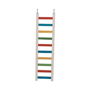 Paradise Parrot Ladder