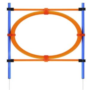 Pawise Agility Ring