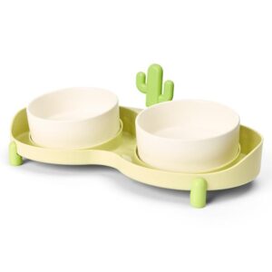 Paws For Life Ceramic Double Pet Bowl With Tray Green