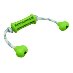 Paws For Life Dental Mintfresh Stick With Rope