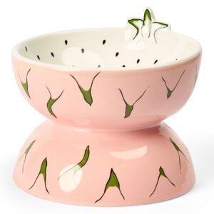 Paws For Life Dragon Fruit Ceramic Pet Bowl
