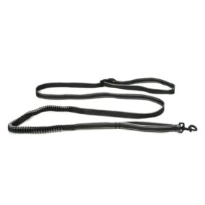 Paws For Life Hands Free Leash