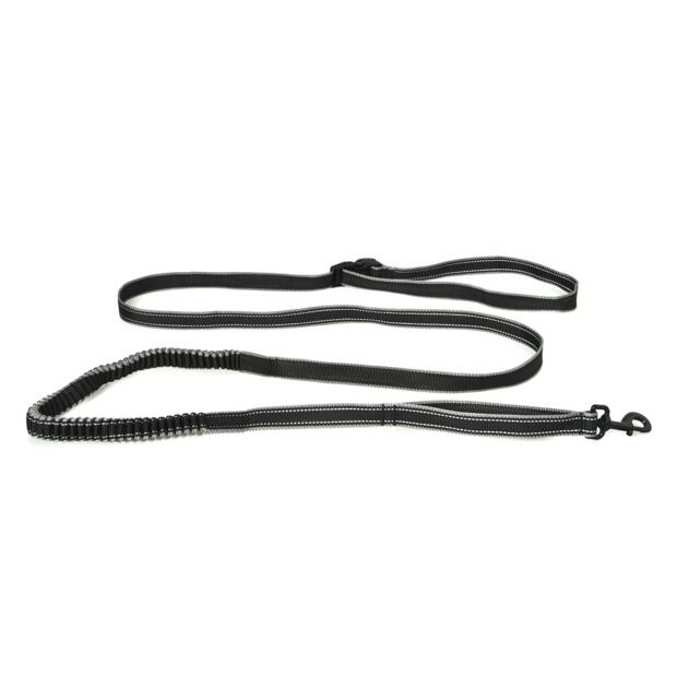 Paws For Life Hands Free Leash