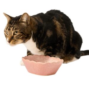 Paws For Life Scallop Ceramic Pet Bowl Pink
