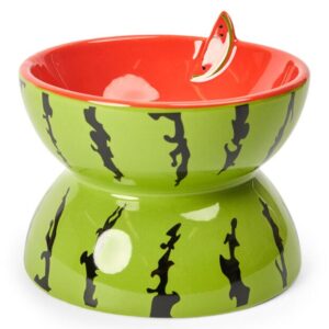 Paws For Life Watermelon Ceramic Pet Bowl