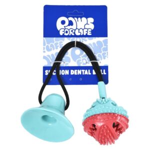 Paws for Life Dental Ball