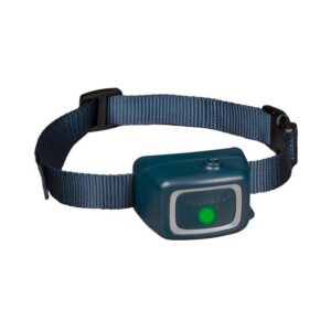 Petsafe Anti Bark Collar