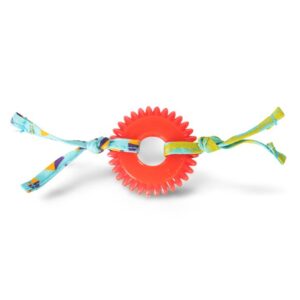 Petstages Kitty Chew Wheel Cat Toy