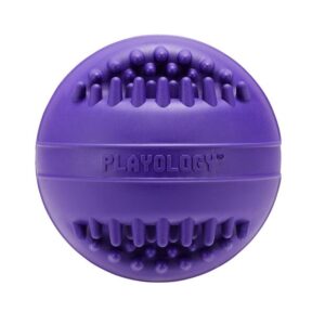 Playology Senior Dental Chew Ball Pork Sausage