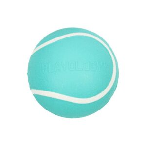 Playology Squeaky Chew Ball Peanut Butter