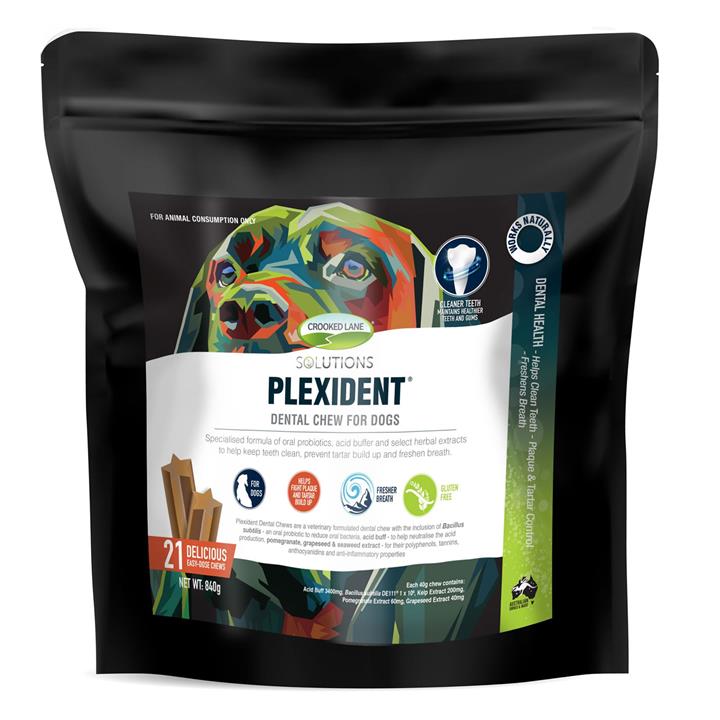 Plexident Dental Chews For Dogs 21 Pack