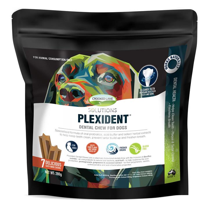 Plexident Dental Chews For Dogs 7 Pack