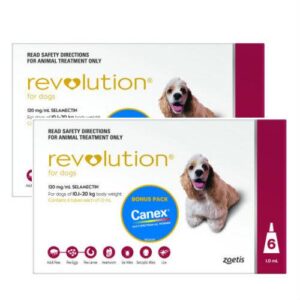 Revolution Red Medium 10-20kg 12 pack
