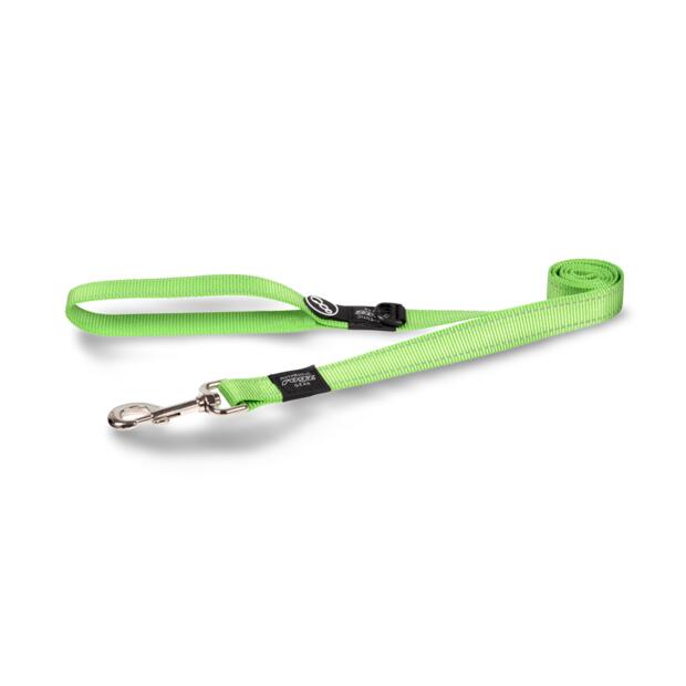 Rogz Classic Lead Lime
