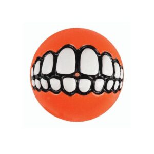 Rogz Grinz Ball Orange