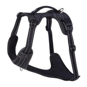 Rogz Specialty Explore Harness Black