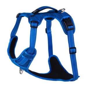 Rogz Specialty Explore Harness Blue