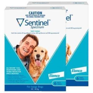 Sentinel Spectrum Chews Large Blue 12 pack