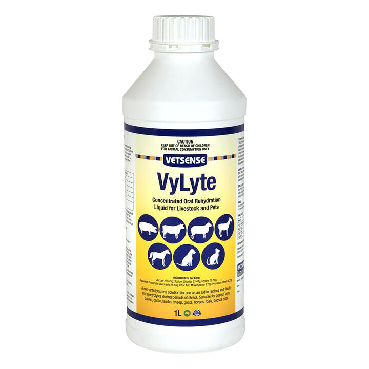 Vetsense Vylyte Concentrated Oral Rehydration Liquid For Livestock And Pets 1 Litre