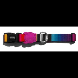 Zee Dog Collar Prisma