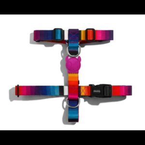 Zee Dog H Harness Prisma