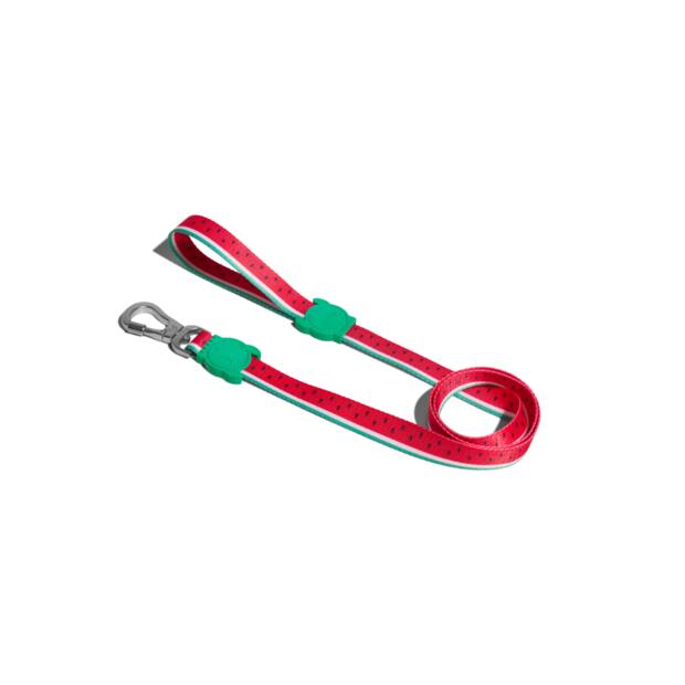 Zee Dog Leash Lola