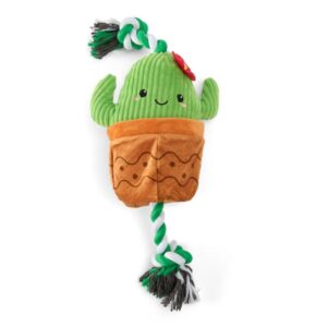 Paws For Life 2 In 1 Plush Cactus And Flower Pot Rope Dog Tug Toy