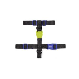 Zee Dog H Harness Nox