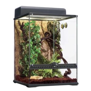 Exo Terra Terrarium Rainforest Habitat Kit