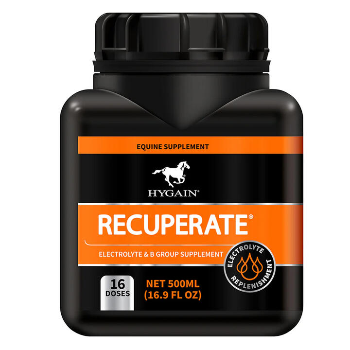 Hygain Recuperate Electrolyte & B Group Supplement For Horse 500 Ml