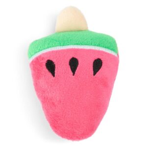 The Catsentials Watermelon Icypop With Catnip Cat Toy