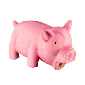 Pawise Latex Pig