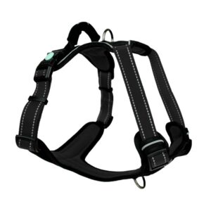 Huskimo Dog Harness Ultimate Dark Sky