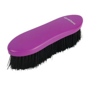 Zilco Small Dandy Brush Gymkhana For Horse Grooming