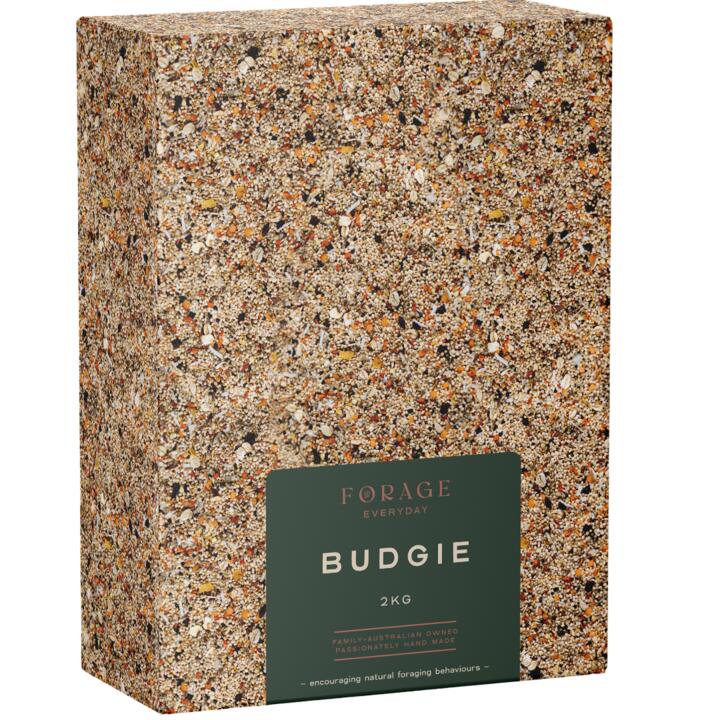 Forage Everyday For Budgie Bird Treats