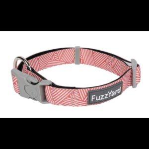 Fuzzyard Dog Collar Thornbury Red