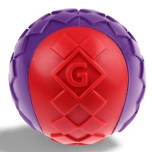 Gigwi Squeaky Ball Toy